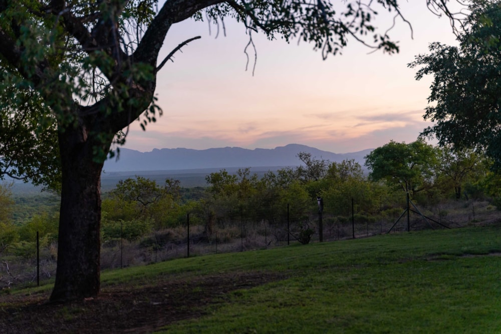 Game farm sold in Harmony Block - 1HS1587417 Game farm sold in Harmony Block - 1HS1587417