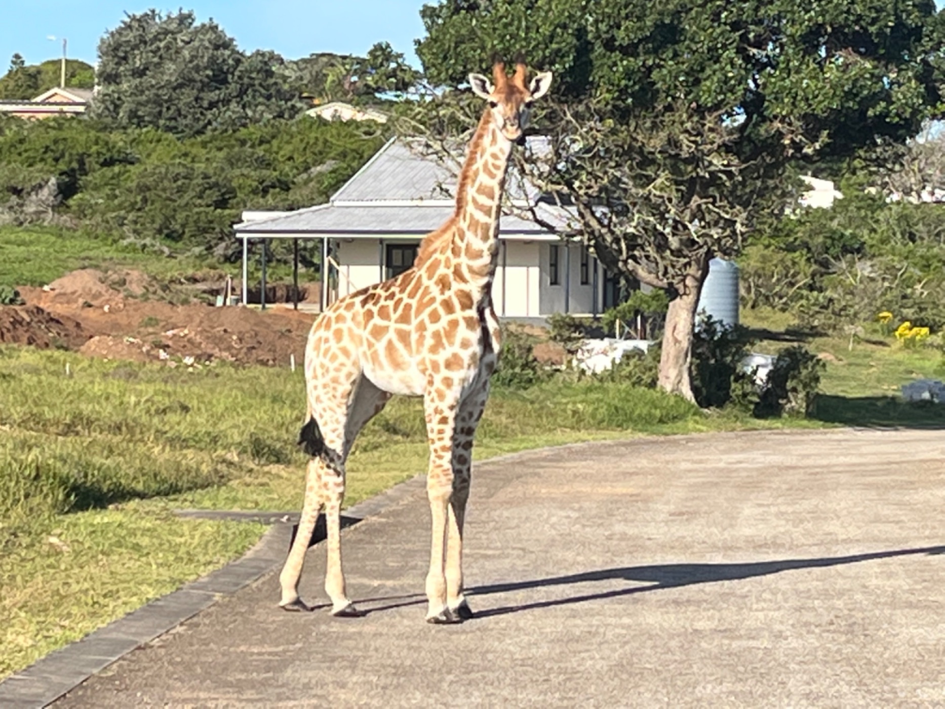 Single-storey retirement home for sale in Boesmansriviermond - 1KO1593802