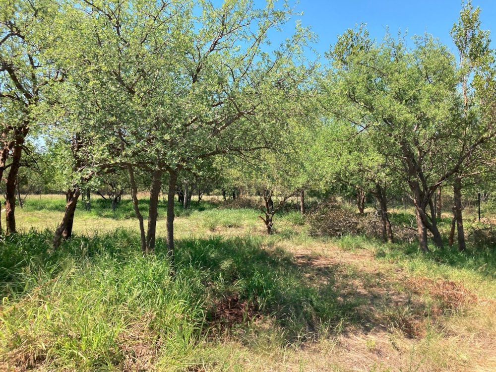 Commercial vacant land for sale in Zandspruit Bush & Aero Estate - 1HS1720057