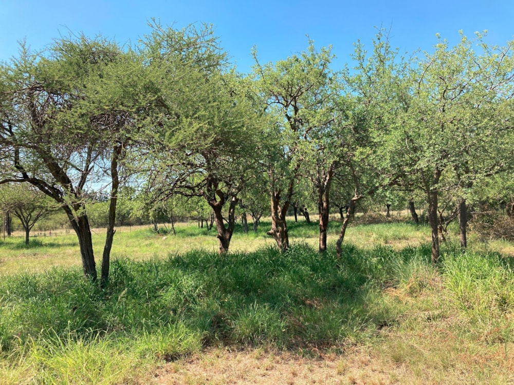 Commercial vacant land for sale in Zandspruit Bush & Aero Estate - 1HS1720057
