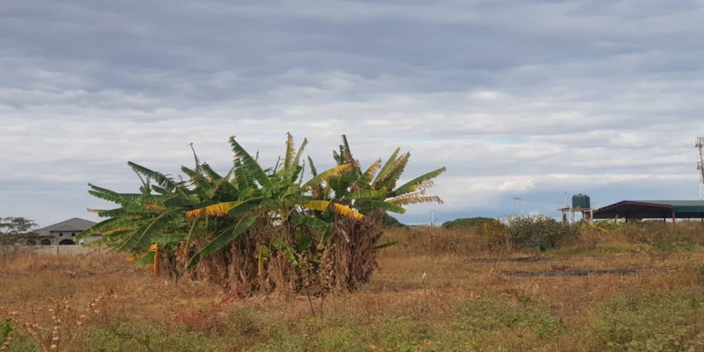 Vacant land for sale in Makeni, Zambia - 3ZA1596572