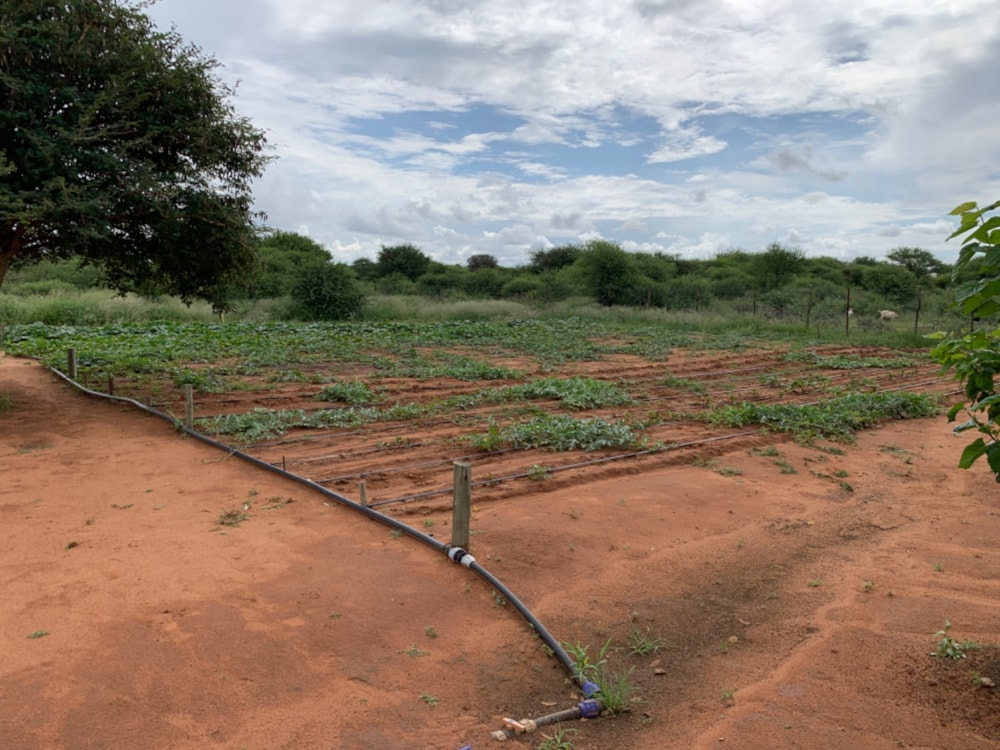 Smallholding to rent in South East, Botswana - 3BO1596884 Smallholding to rent in South East, Botswana - 3BO1596884