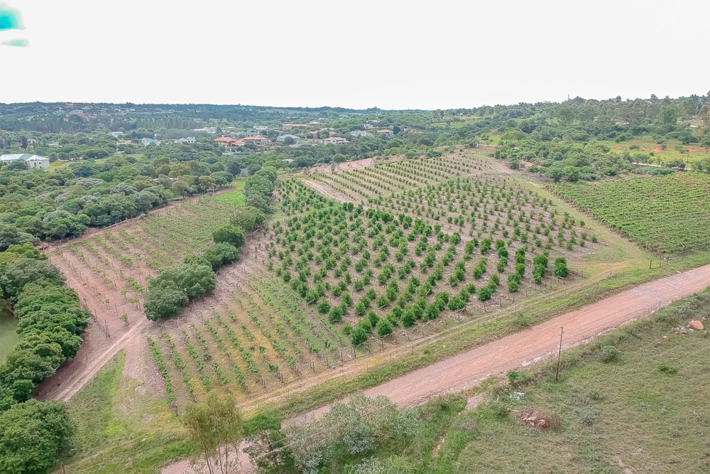 House for sale in Zwavelpoort SH - PT1599998 House for sale in Zwavelpoort SH - PT1599998