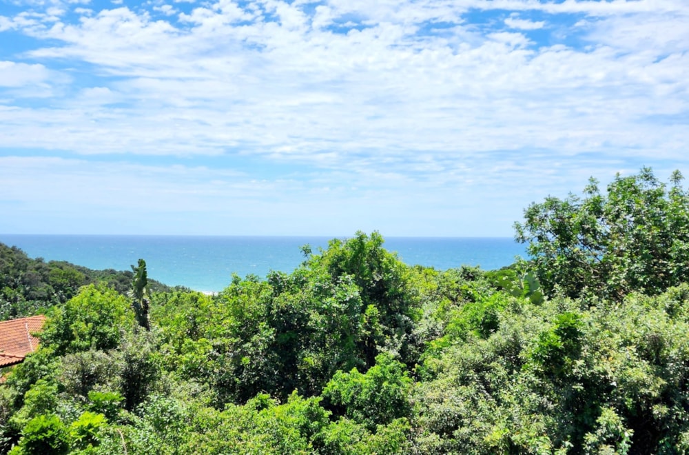 House for sale in Zimbali Estate - 1BD1712602 House for sale in Zimbali Estate - 1BD1712602