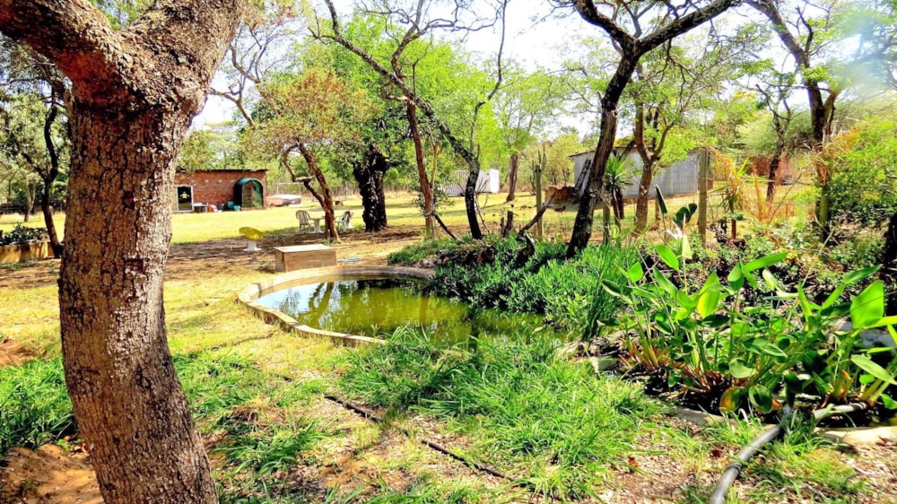 Guesthouse for sale in Bela Bela - 1MDM1749564 Guesthouse for sale in Bela Bela - 1MDM1749564