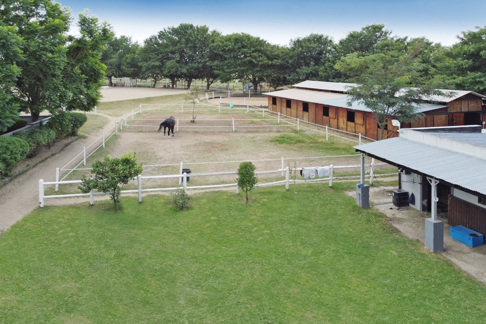 Double-storey house sold in Kyalami AH - MR1667378 Double-storey house sold in Kyalami AH - MR1667378