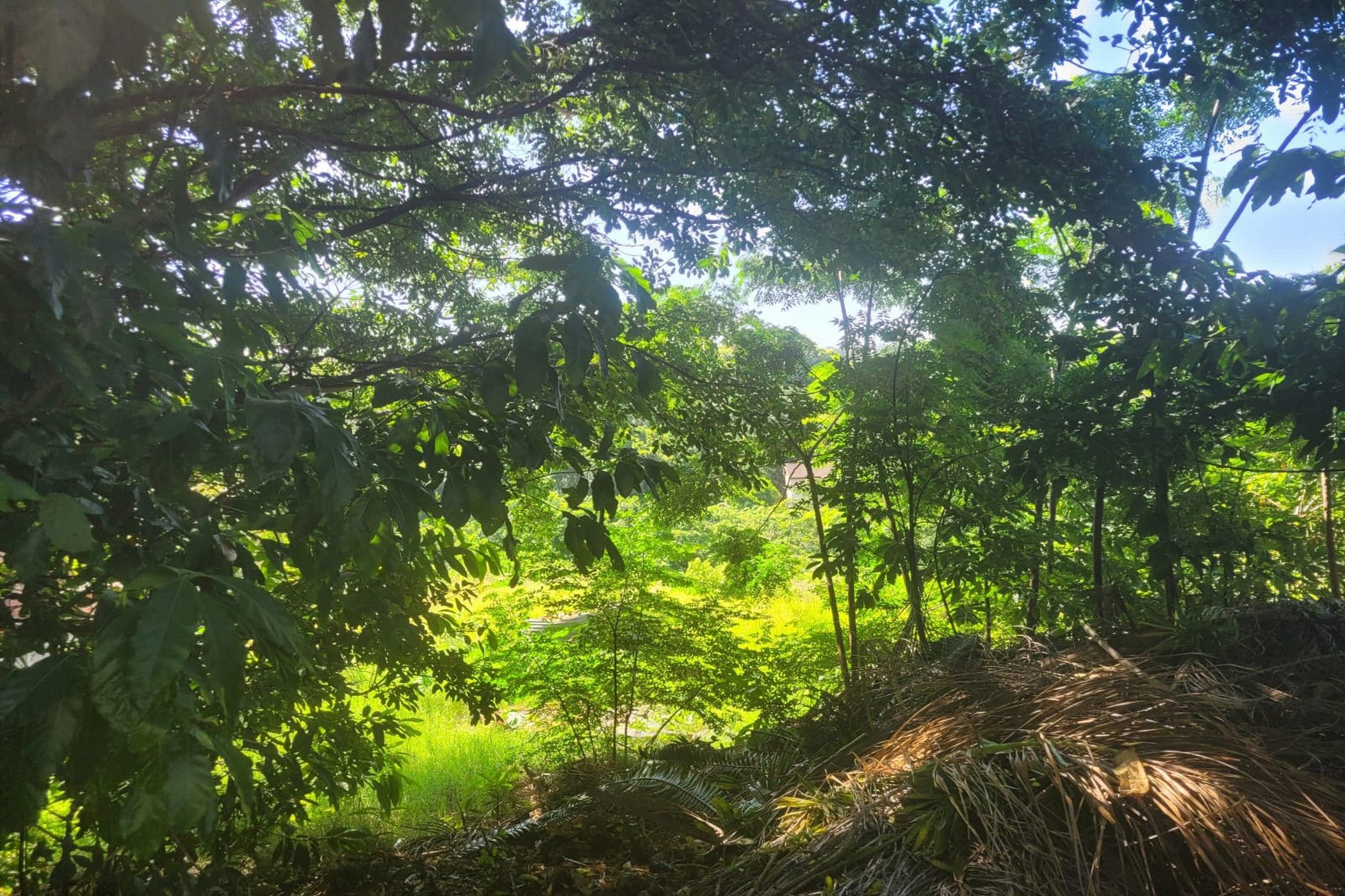 Vacant land for sale in Amanzimtoti - 1WB1599032