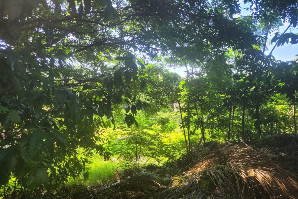 Vacant land for sale in Amanzimtoti - 1WB1599032