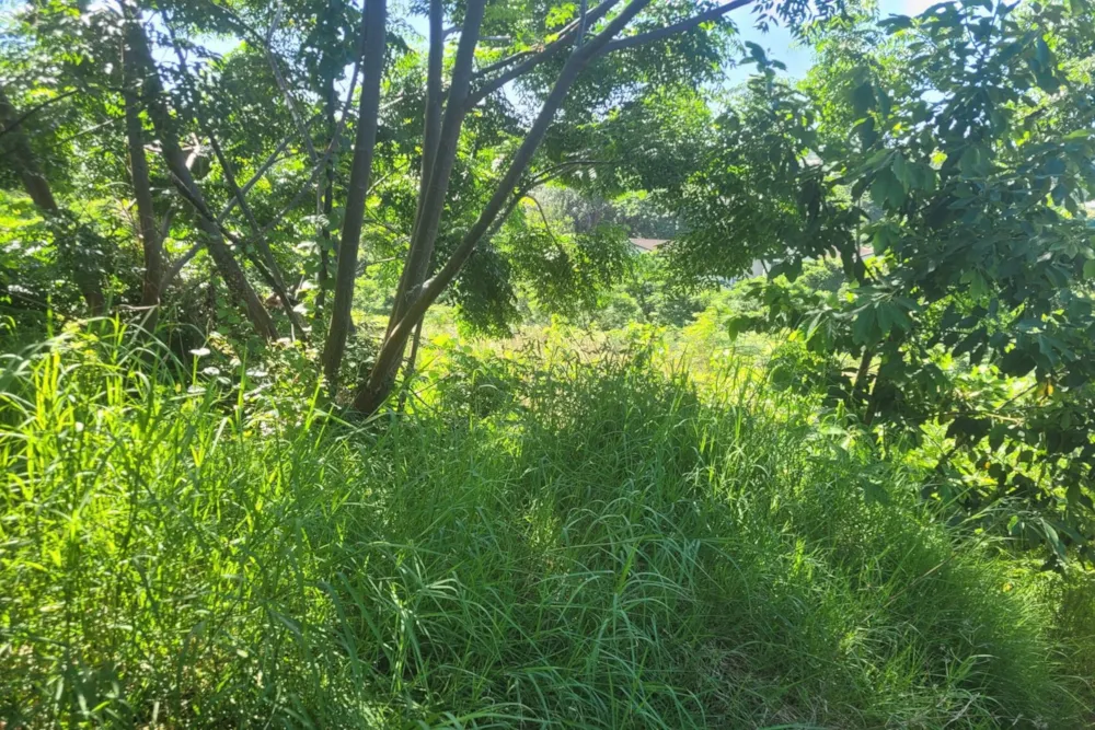 Vacant land for sale in Astra Park - 1WB1599032