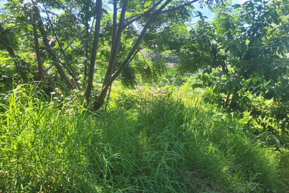 Vacant land for sale in Amanzimtoti - 1WB1599032