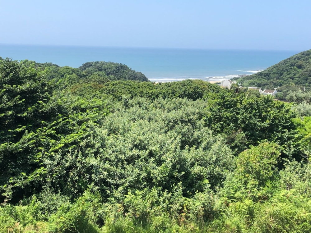 House for sale in Leisure Bay - 1PD1512754 House for sale in Leisure Bay - 1PD1512754