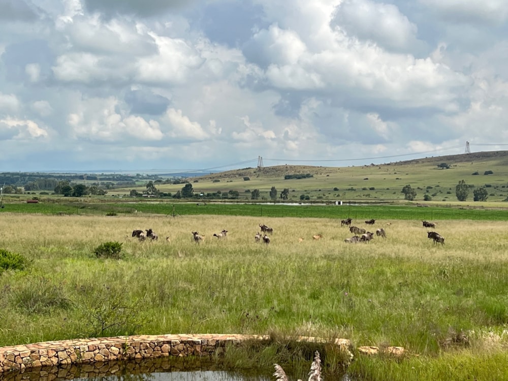 Vacant land for sale in Bronkhorstbaai - PRN1649961