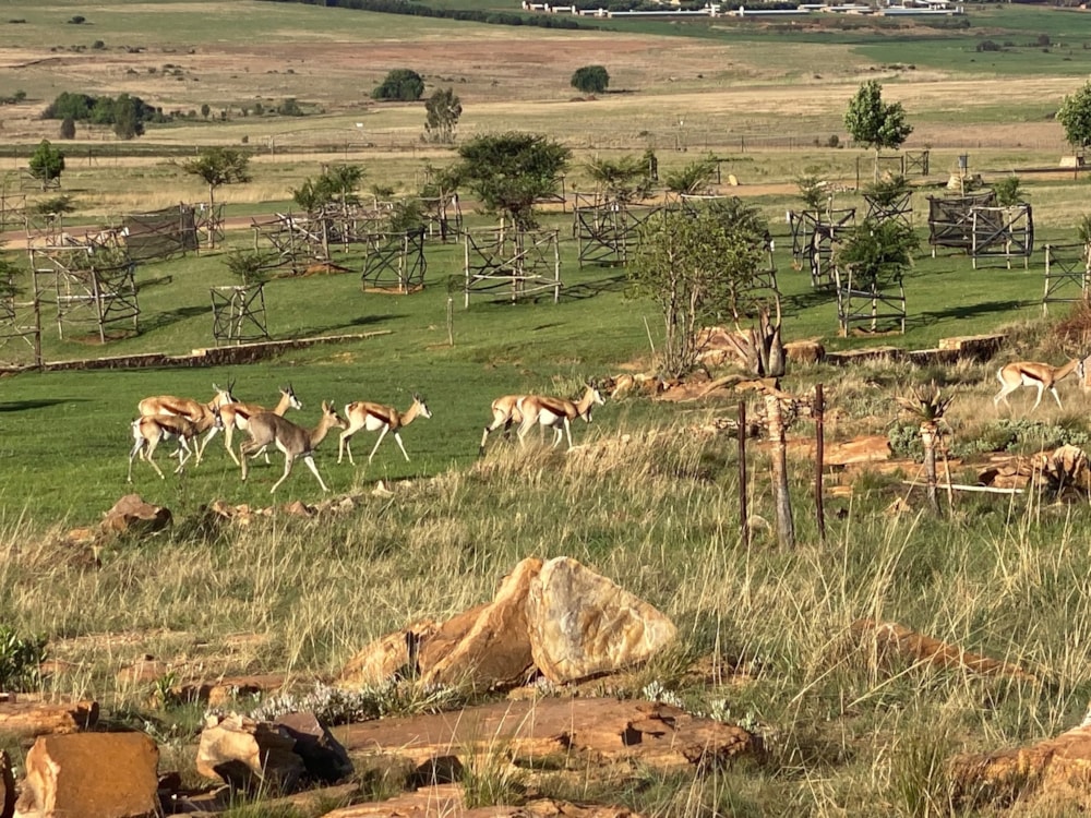 Vacant land for sale in Bronkhorstbaai - PRN1649961