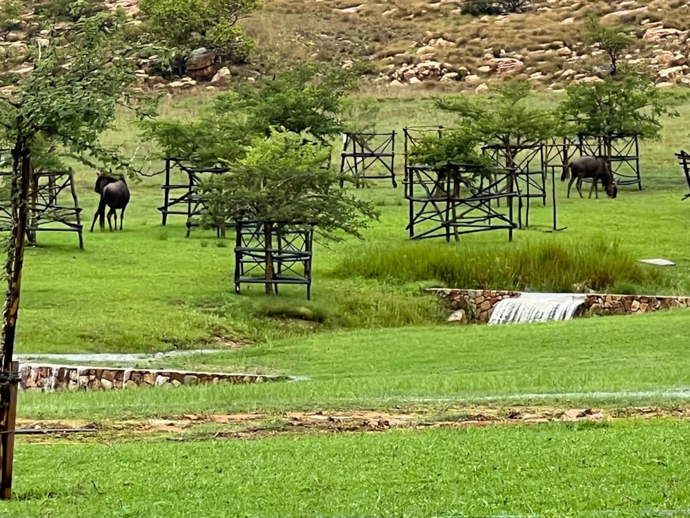 Vacant land for sale in Bronkhorstbaai - PRN1539999