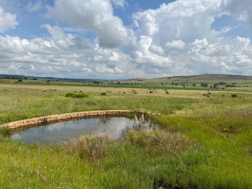 Residential vacant land for sale in Bronkhorstbaai - PRN1540500