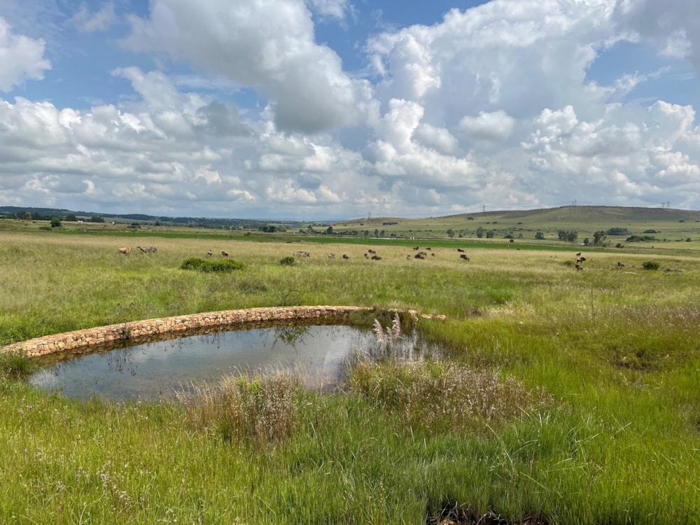 Residential vacant land for sale in Bronkhorstbaai - PRN1540649