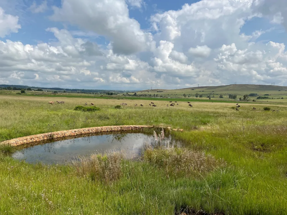 Residential vacant land for sale in Bronkhorstbaai - PRN1540649 Residential vacant land for sale in Bronkhorstbaai - PRN1540649
