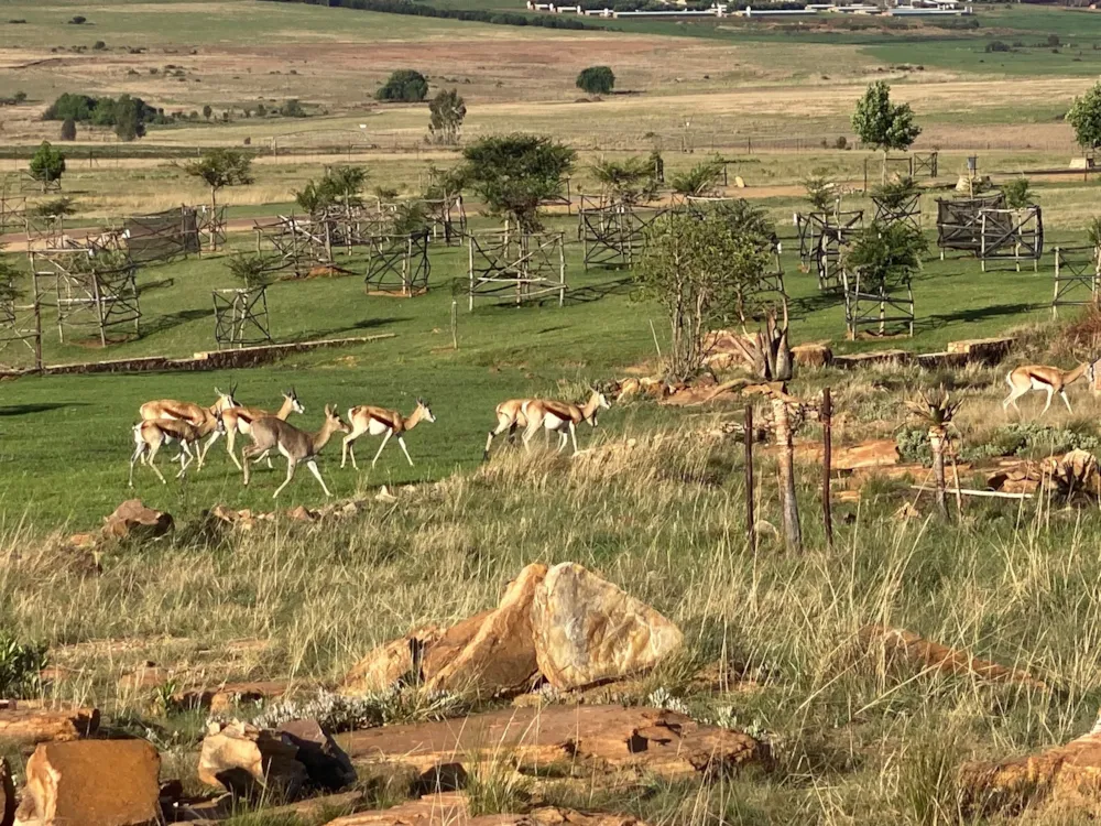 Vacant land for sale in Bronkhorstbaai - PRN1540671 Vacant land for sale in Bronkhorstbaai - PRN1540671