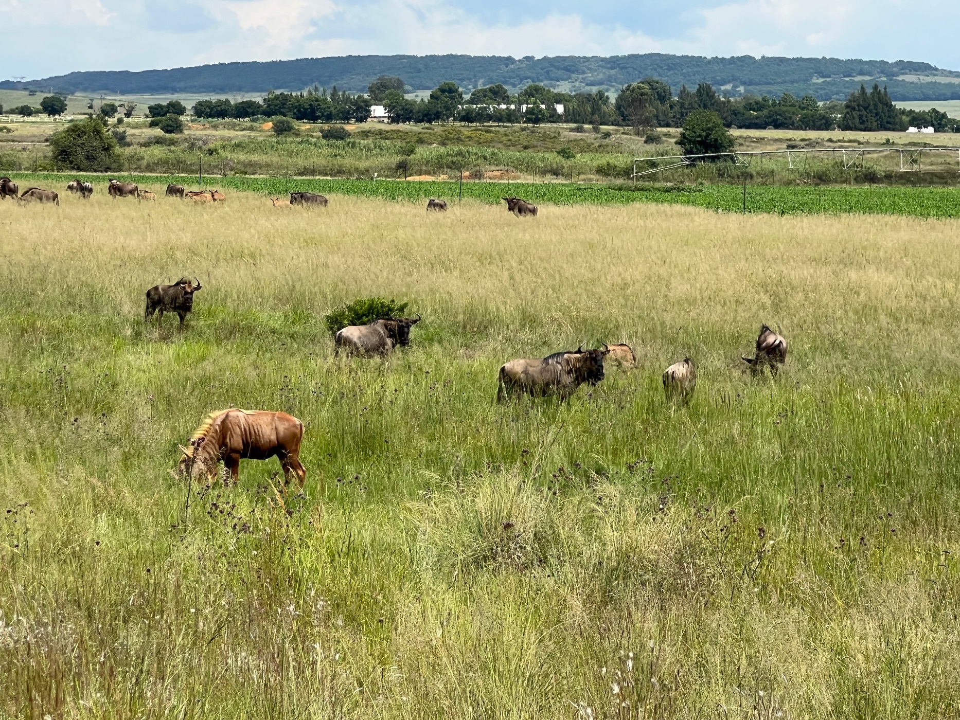 Vacant land for sale in Bronkhorstbaai - PRN1540671