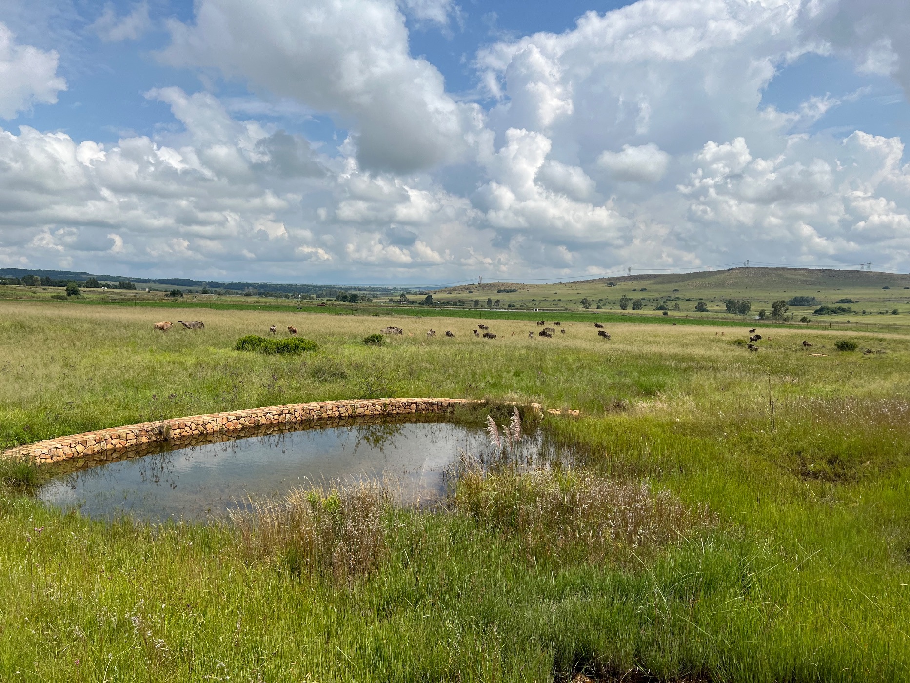 Vacant land for sale in Bronkhorstbaai - PRN1541382