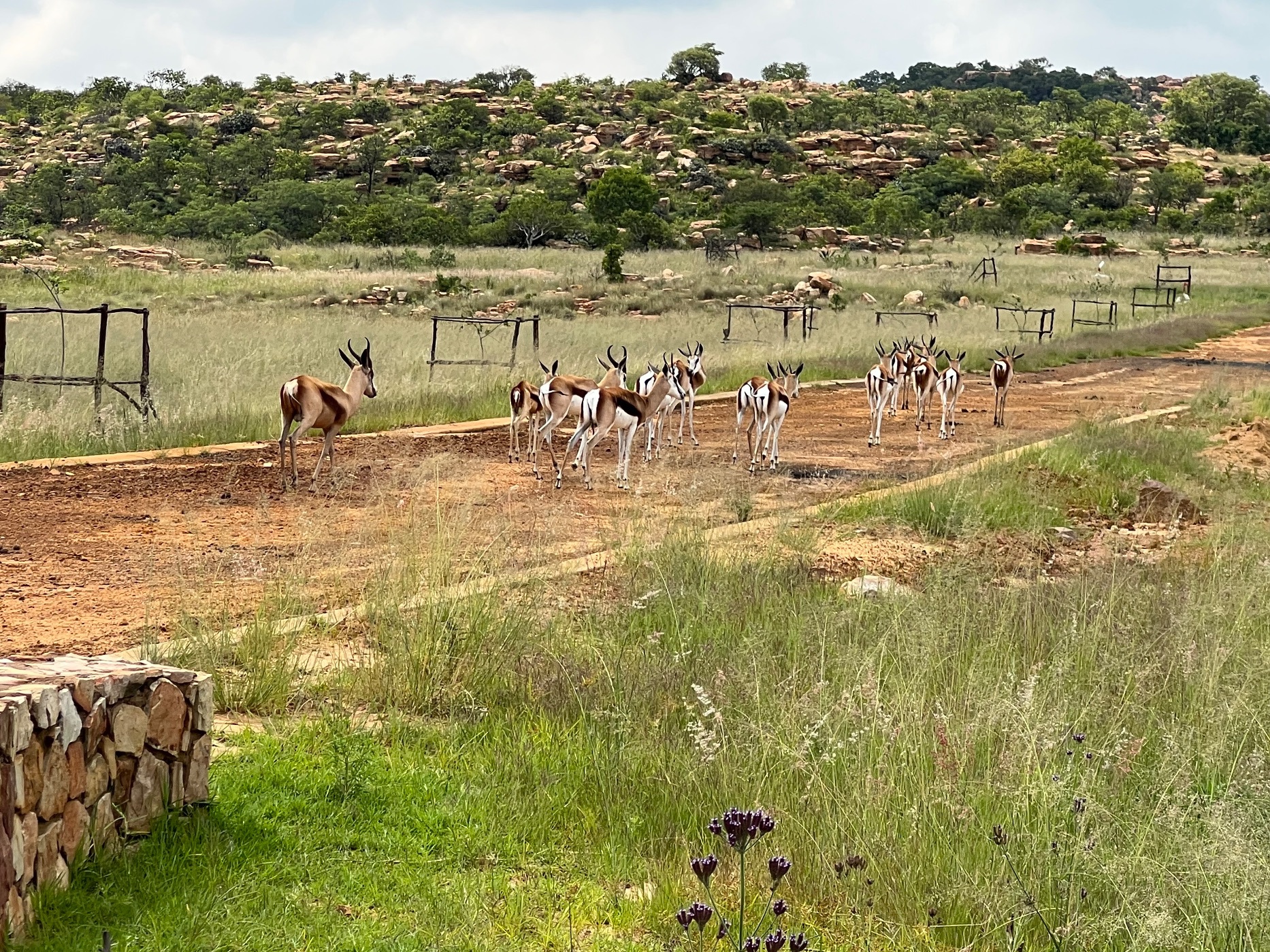 Vacant land for sale in Bronkhorstbaai - PRN1541402