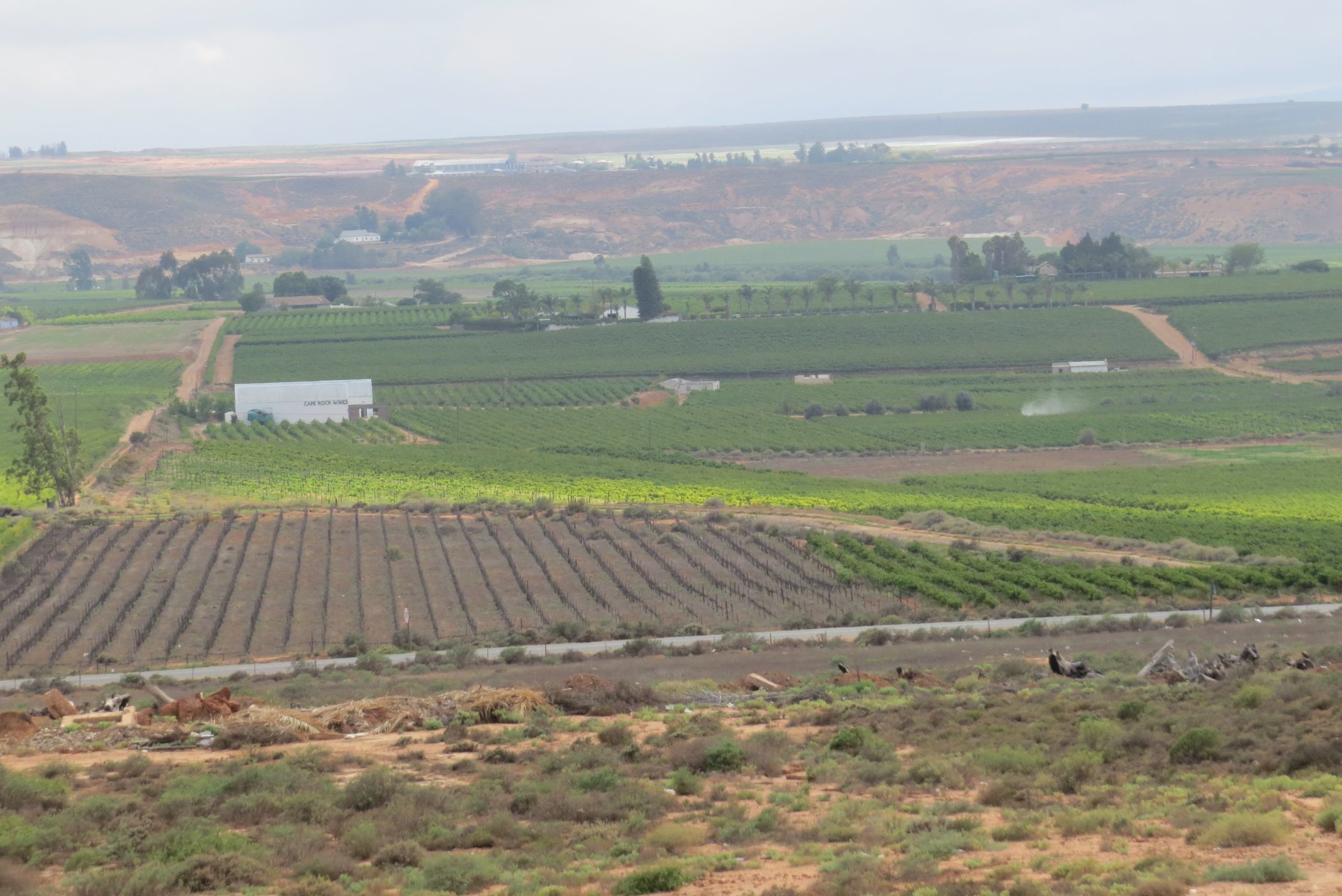 Wine farm for sale in Vredendal - 1NA1725200