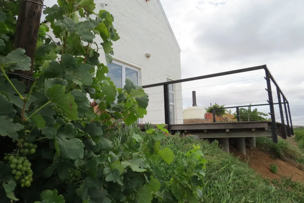 Wine farm for sale in Vredendal - 1NA1725200 Wine farm for sale in Vredendal - 1NA1725200