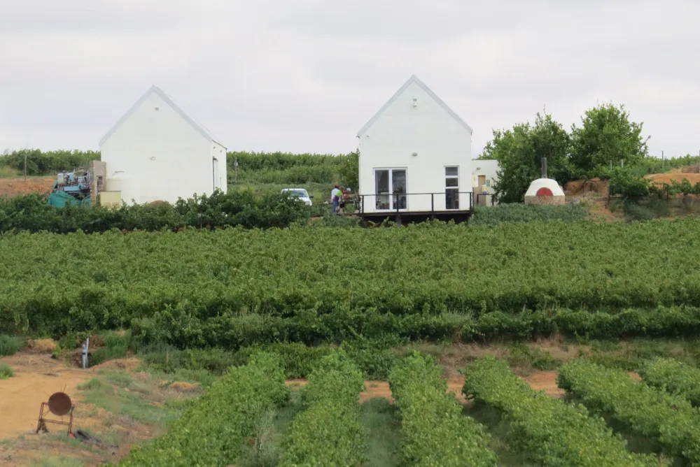 Wine farm for sale in Vredendal - 1NA1725200 Wine farm for sale in Vredendal - 1NA1725200
