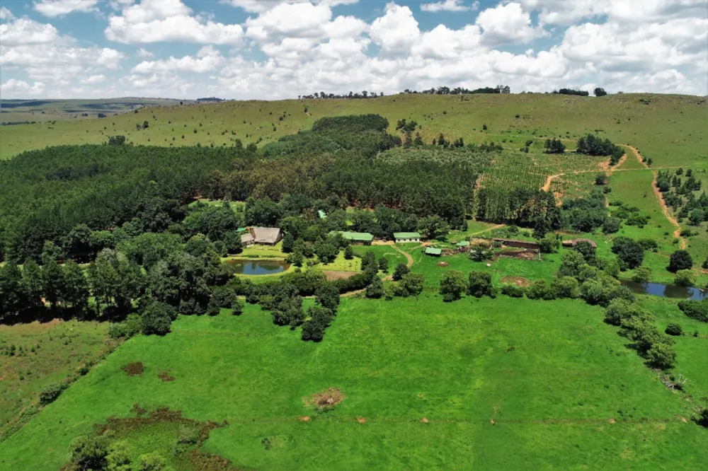 Mixed use farm sold in Dullstroom - 1DS1597922 Mixed use farm sold in Dullstroom - 1DS1597922