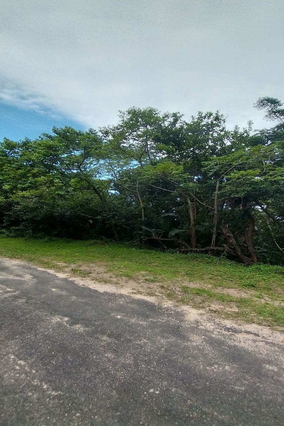 Vacant land for sale in Bazley - 1SI1598255