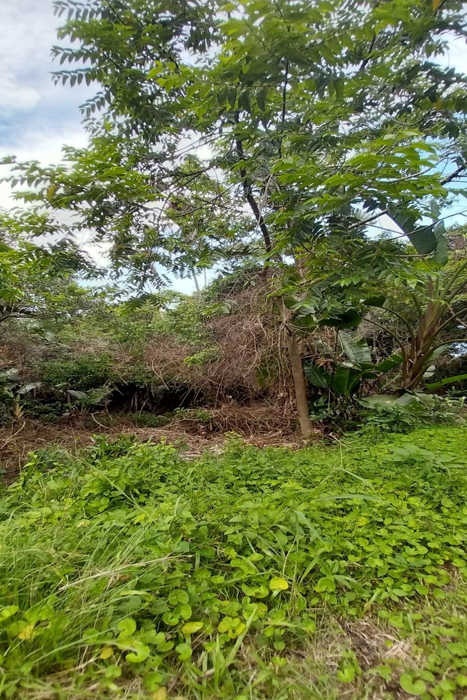 Vacant land for sale in Bazley - 1SI1598255