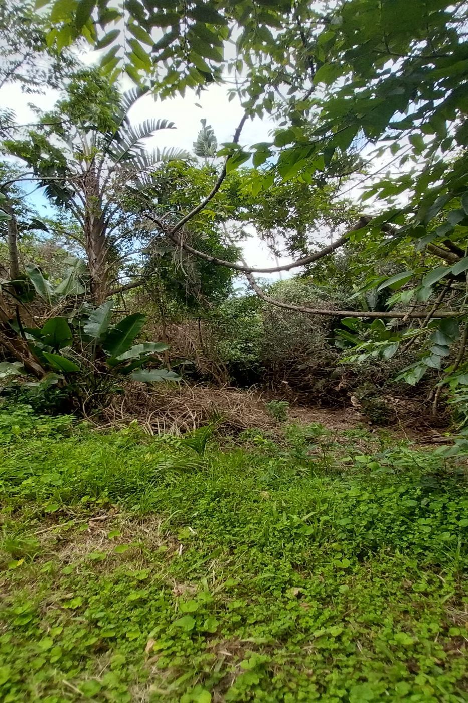 Vacant land for sale in Bazley - 1SI1598255