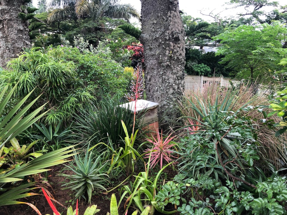 House for sale in Ramsgate - 1PD1598283