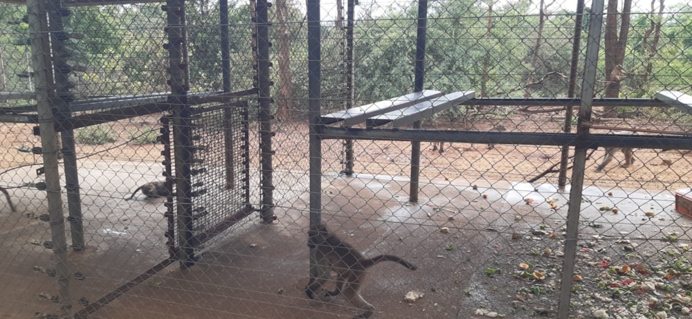 Lifestyle property for sale in Letsitele - 1TA1598565