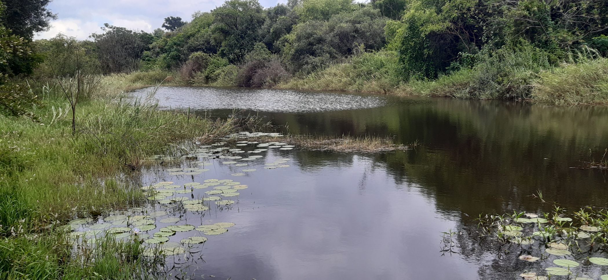 Lifestyle property for sale in Letsitele - 1TA1598565