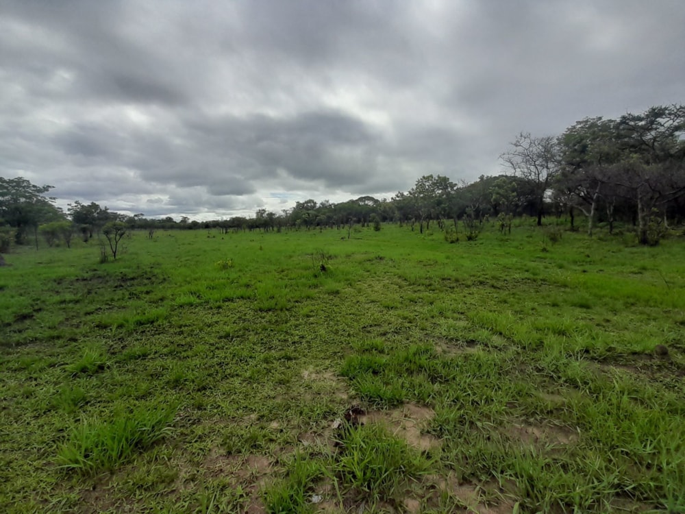 Vacant land for sale in Central Business District, Lusaka Province, Zambia - 3ZA1598661