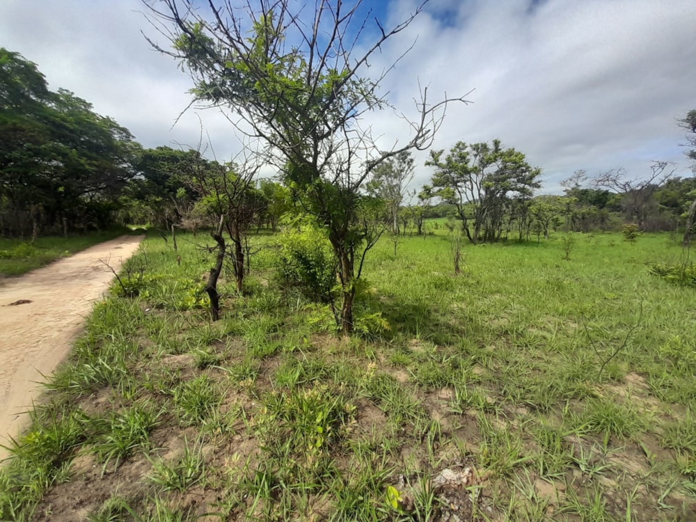 Vacant land for sale in Central Business District, Lusaka Province, Zambia - 3ZA1598661