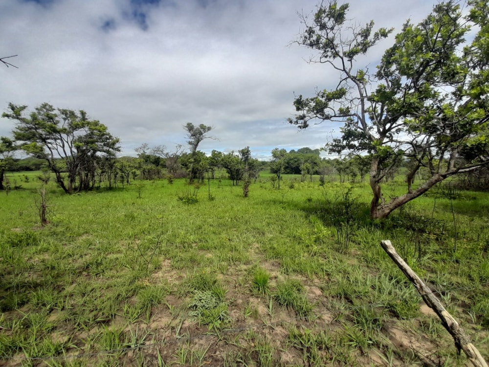 Vacant land for sale in Central Business District, Lusaka Province, Zambia - 3ZA1598661