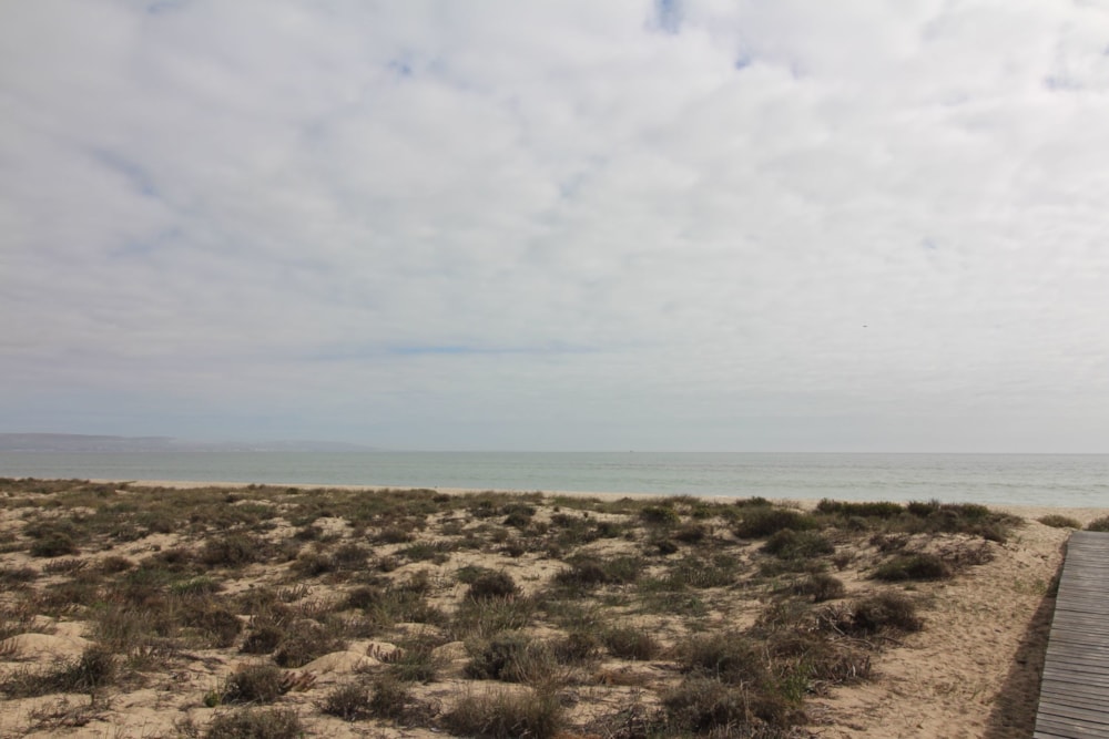 Vacant land for sale in Laaiplek - LA1598683 Vacant land for sale in Laaiplek - LA1598683