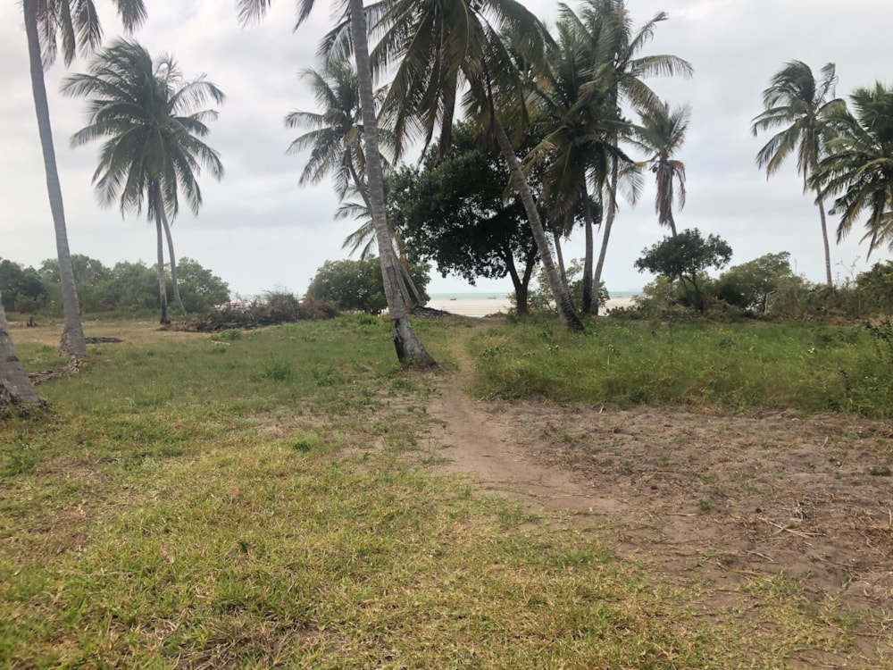 Beachfront villa for sale in Vilanculos, Mozambique - 3MQ1598698