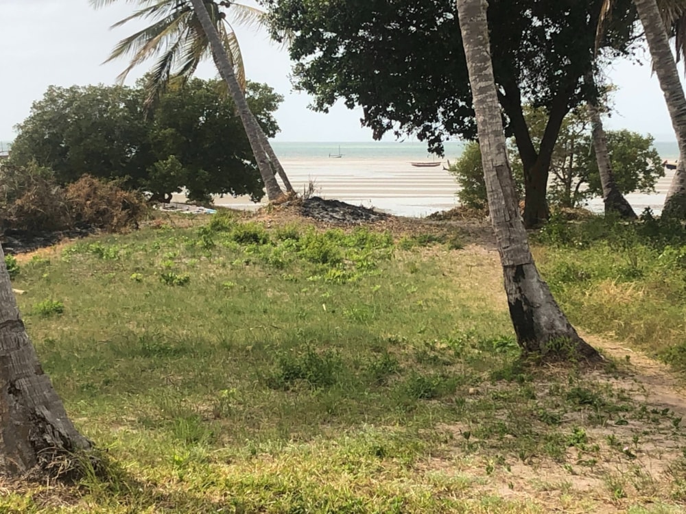 Beachfront villa for sale in Vilanculos, Mozambique - 3MQ1598698