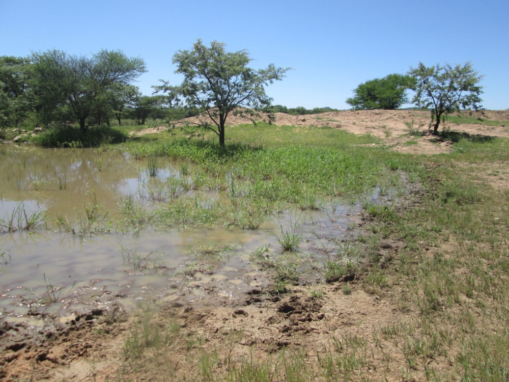 Farm vacant land for sale in Polokwane - 1PS1598821