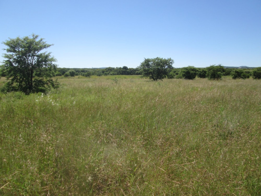 Farm vacant land for sale in Polokwane - 1PS1598821