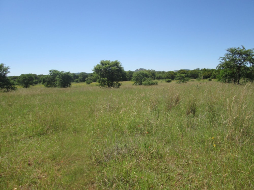 Farm vacant land for sale in Polokwane - 1PS1598821