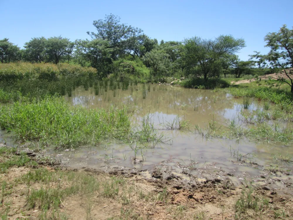 Farm vacant land for sale in Polokwane - 1PS1598821