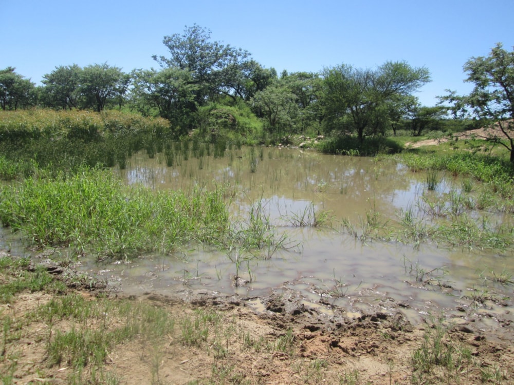 Farm vacant land for sale in Polokwane - 1PS1598821
