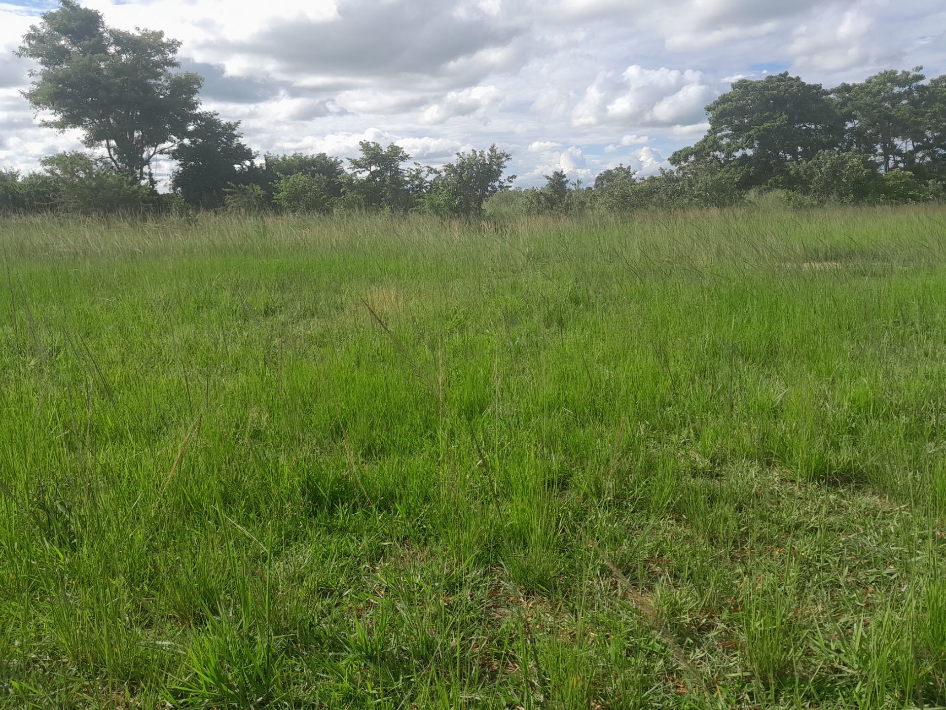 Vacant land for sale in Solwezi, Zambia - 3ZA1599048