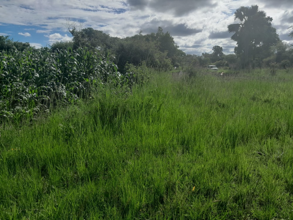 Vacant land for sale in Solwezi, Zambia - 3ZA1599048 Vacant land for sale in Solwezi, Zambia - 3ZA1599048