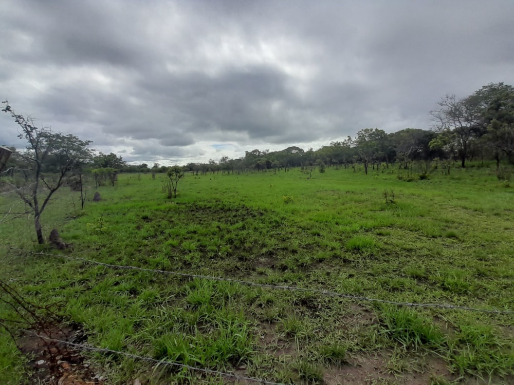 Vacant land for sale in Solwezi, Zambia - 3ZA1599048 Vacant land for sale in Solwezi, Zambia - 3ZA1599048