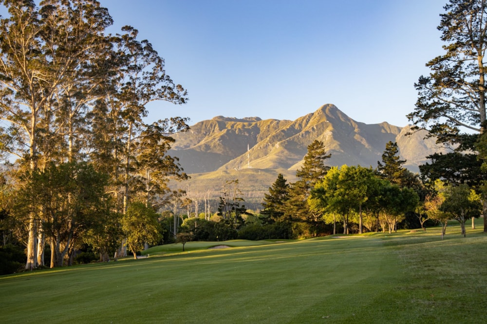 Apartment to rent in Dormehls drift - GEO1724660 Apartment to rent in Dormehls drift - GEO1724660